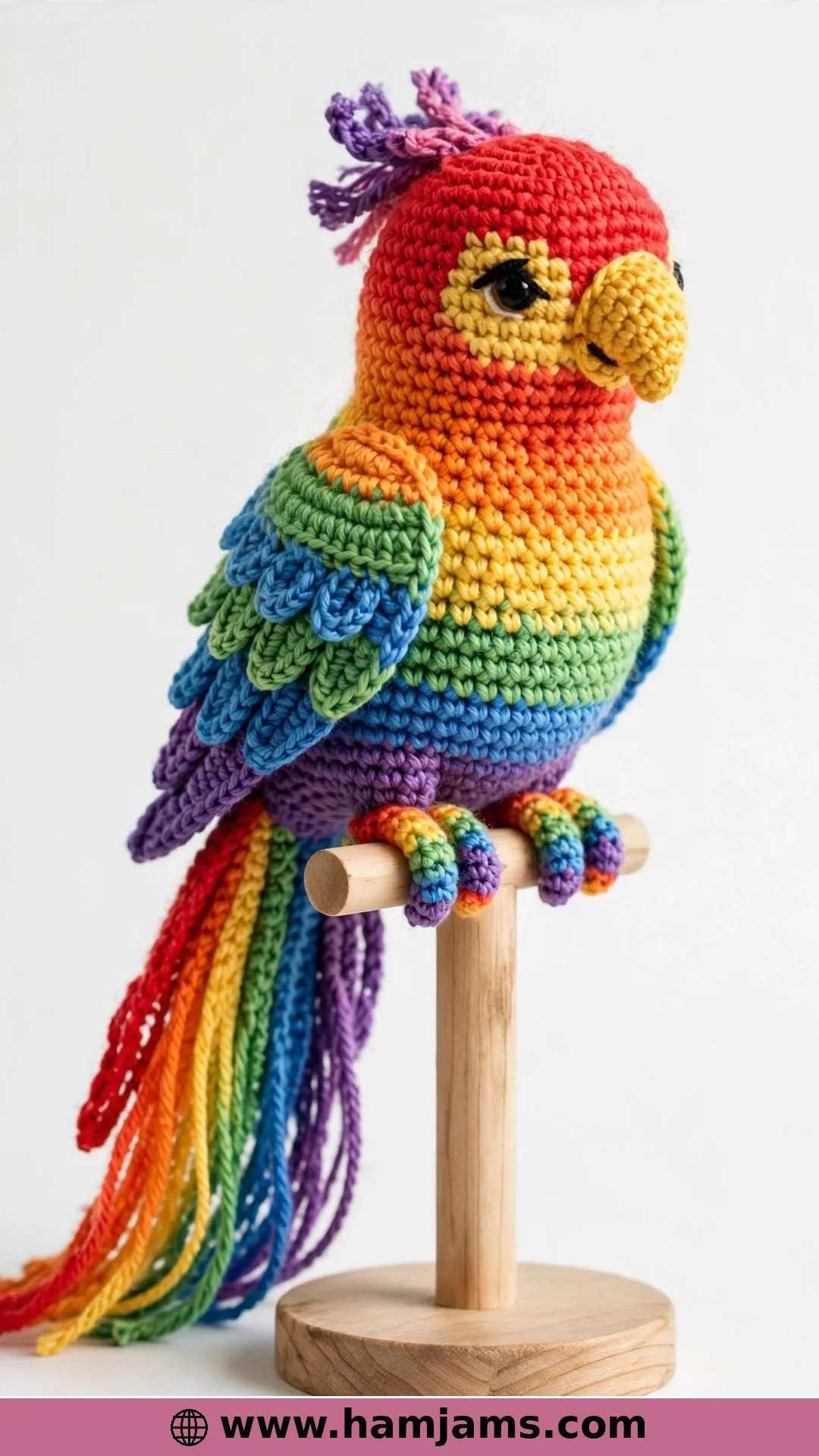 A Rainbow Parrot With Serious Personality
