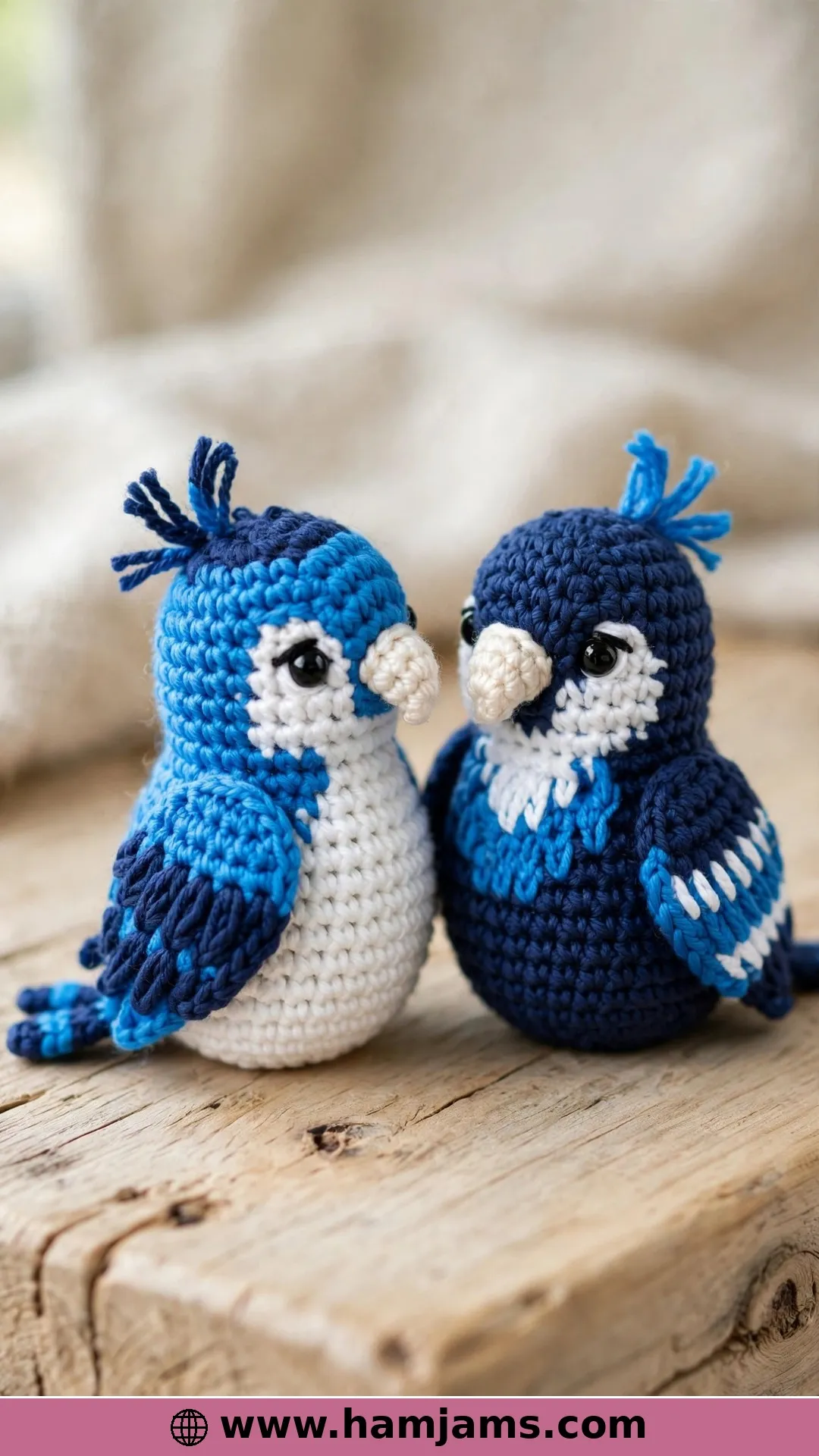 Pocket Parrots in Blue Jay Colours