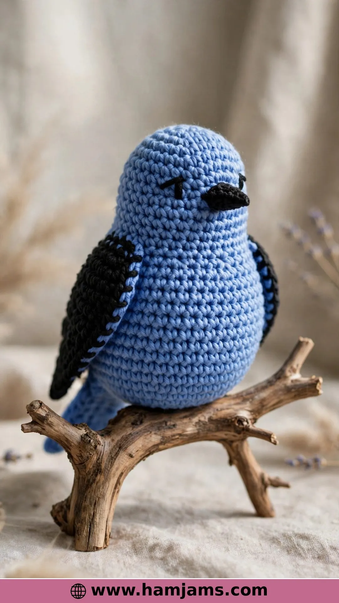 A Mountain Bluebird Cousin