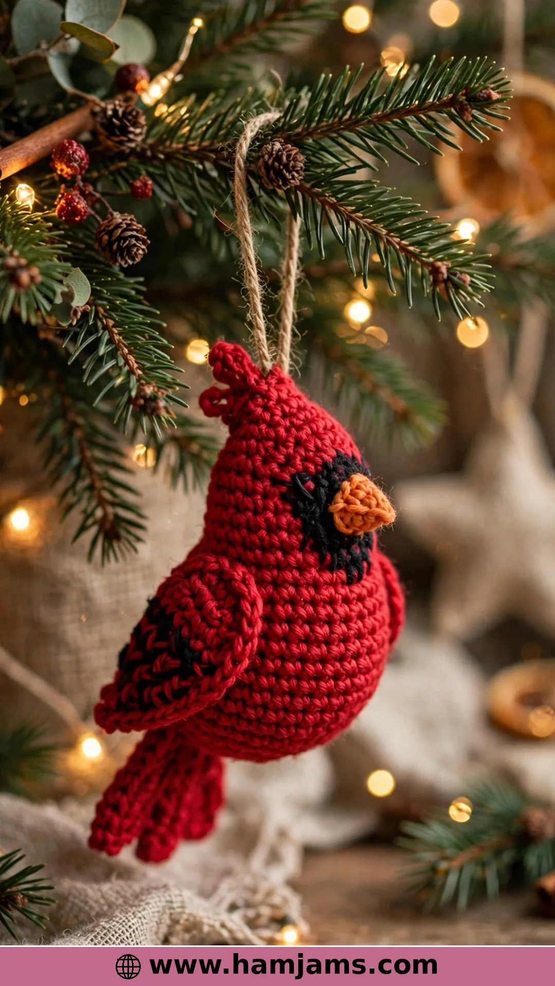 The Video-Taught Ornament