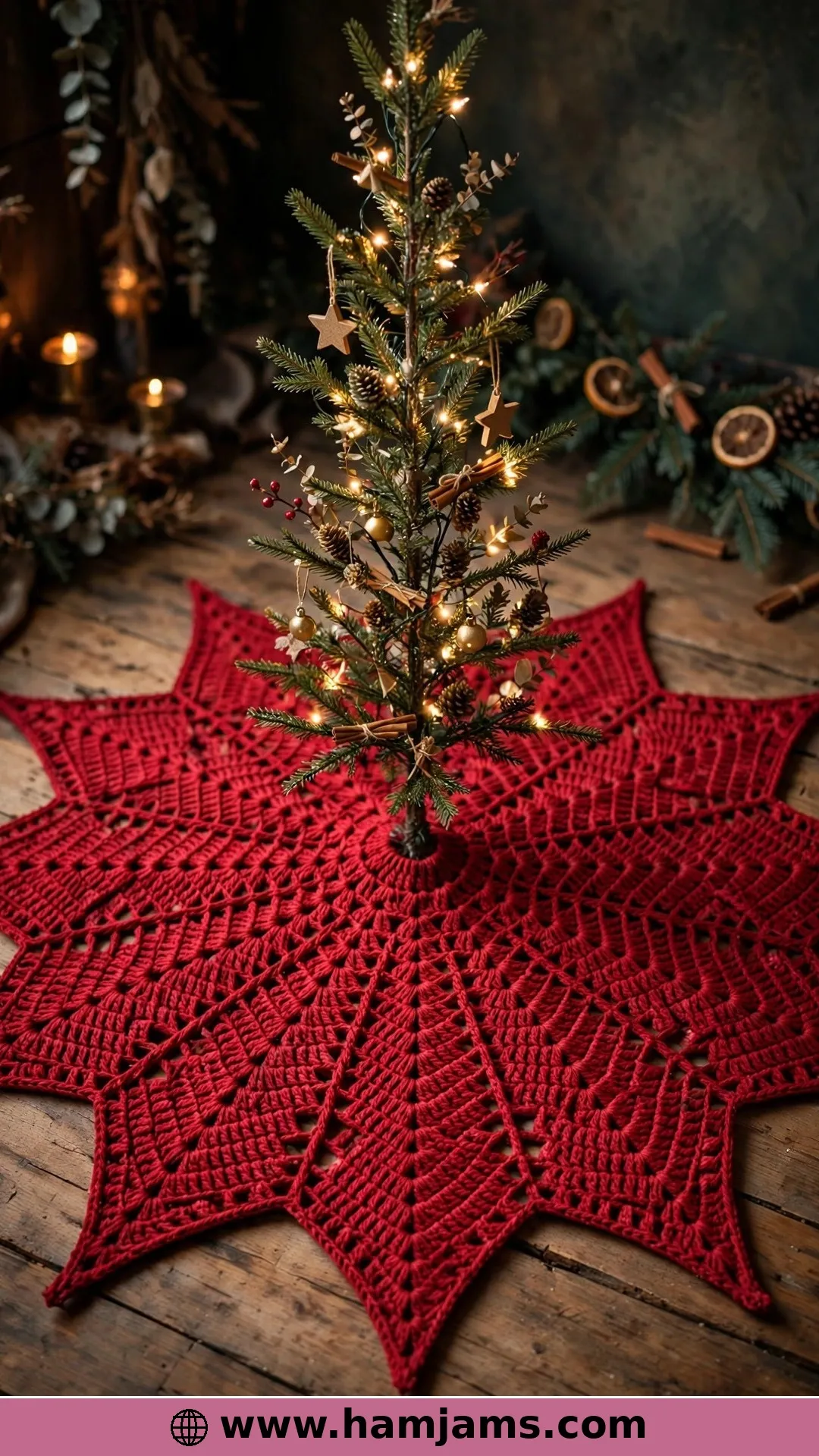 A Poinsettia Star That Steals the Show