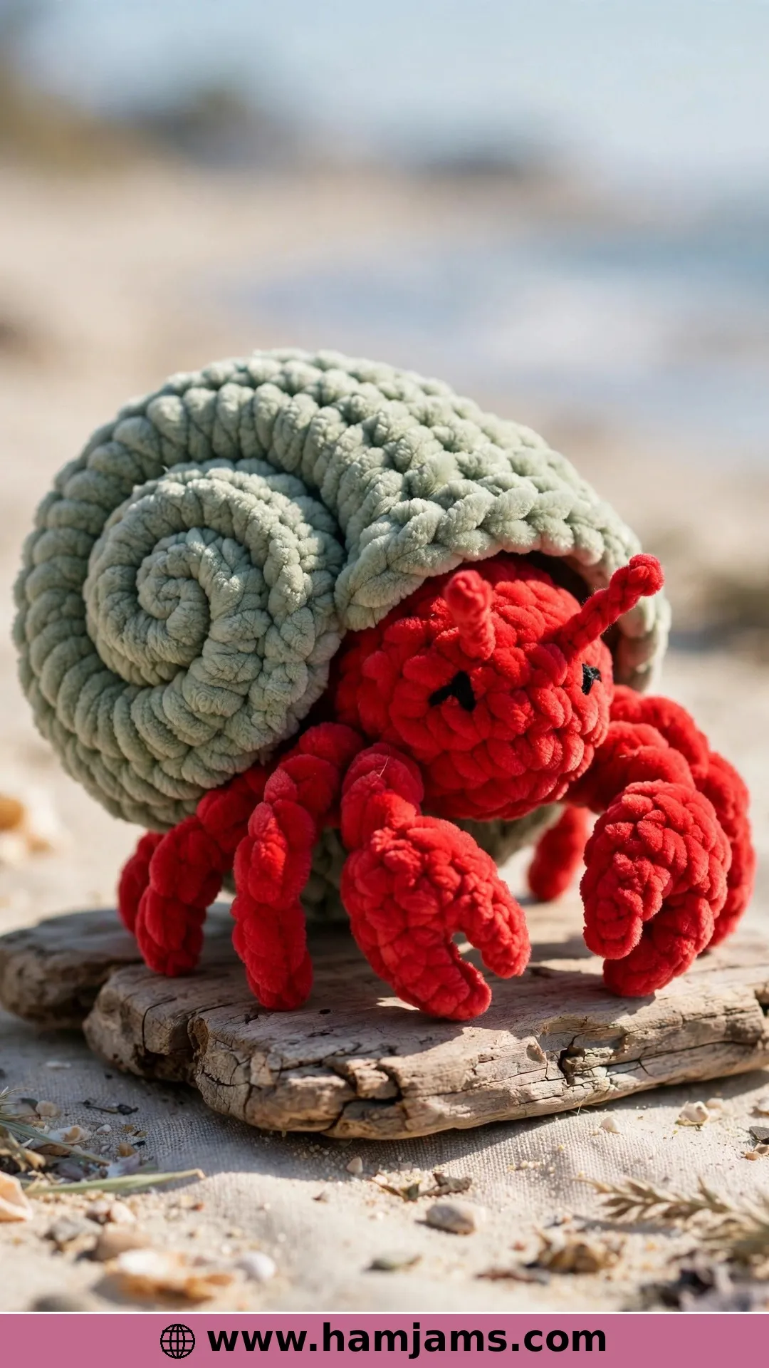 The Mini Hermit Crab in a Swirly Shell