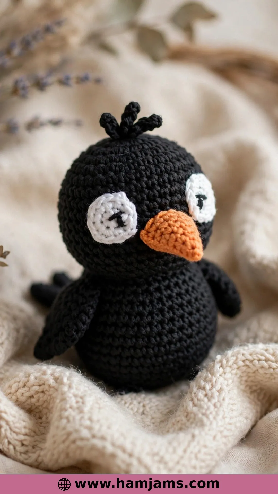A Sweet Baby Crow for Beginners