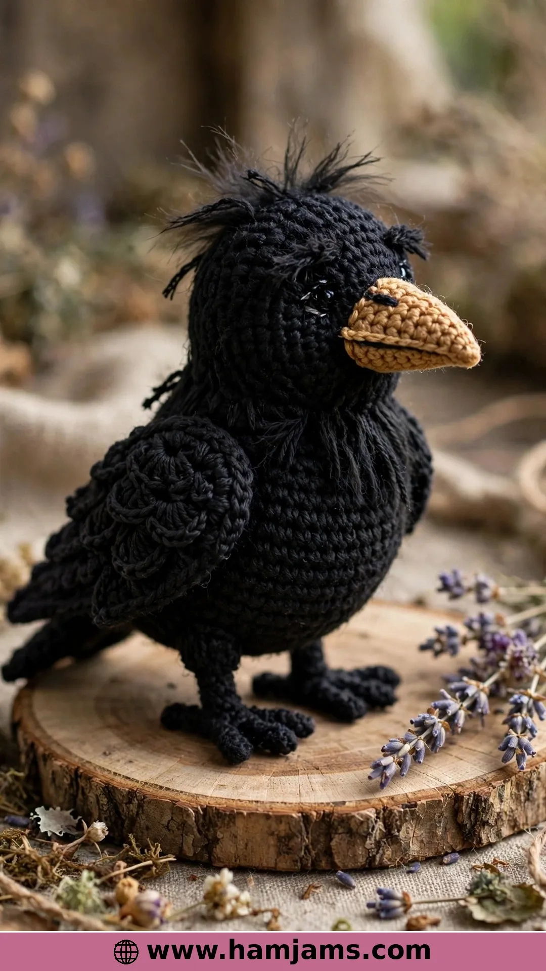 Karlusha, a Characterful Crow With a Story
