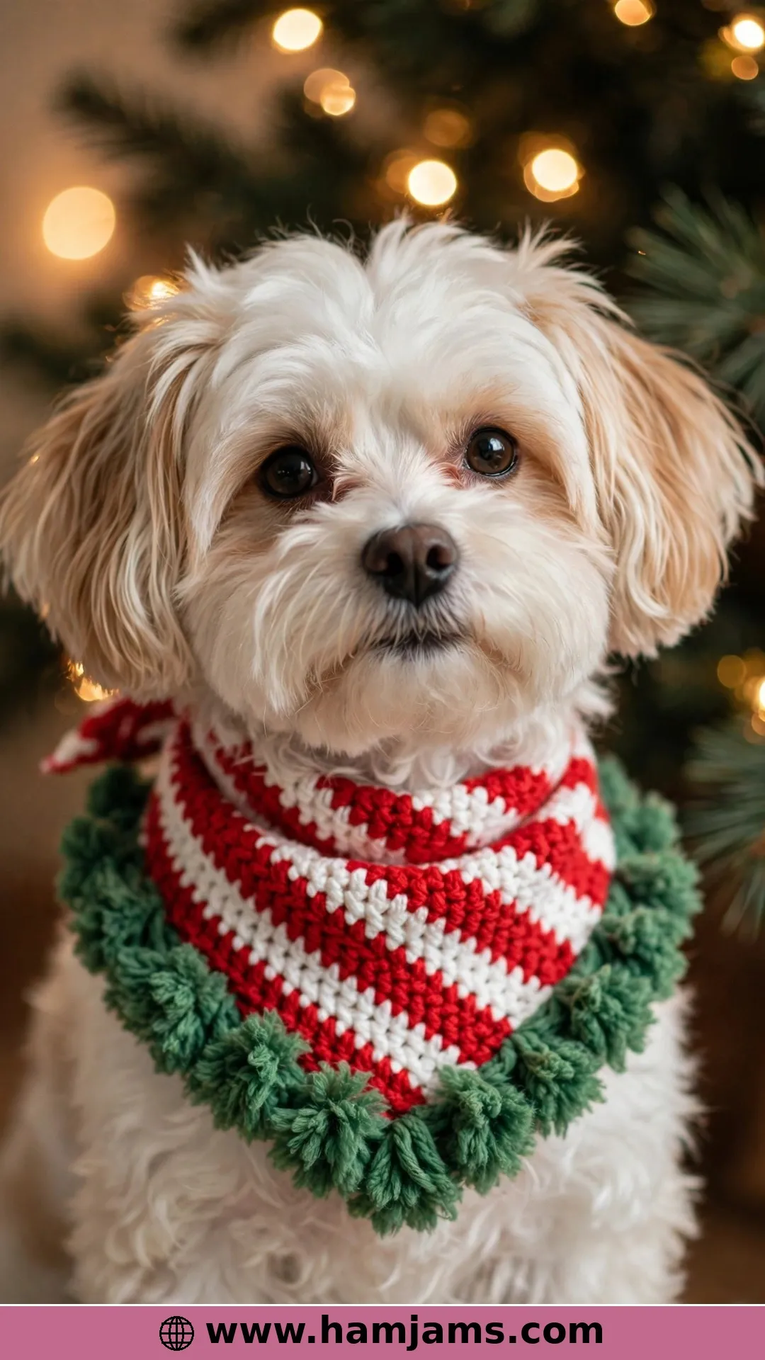 Candy-Cane Elf Stripes for Christmas