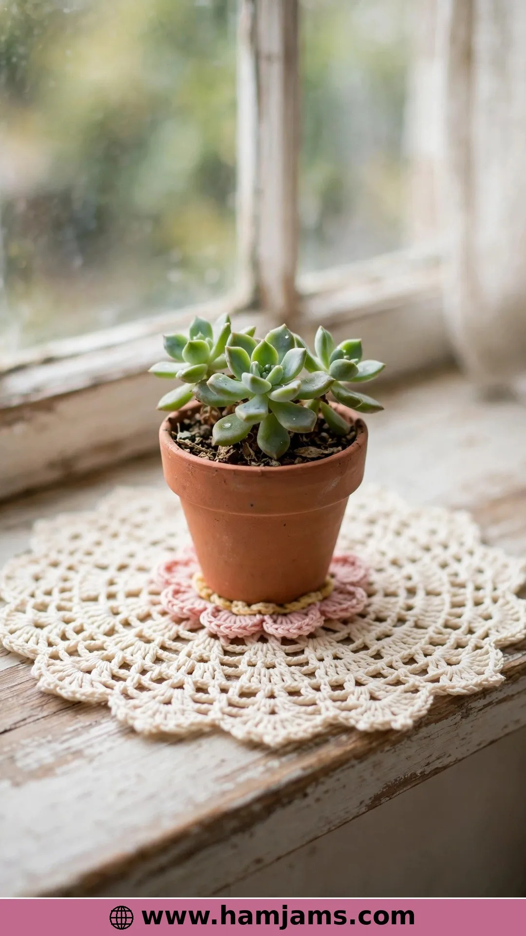 The Tiniest Blossom, for Succulents and Ring Dishes
