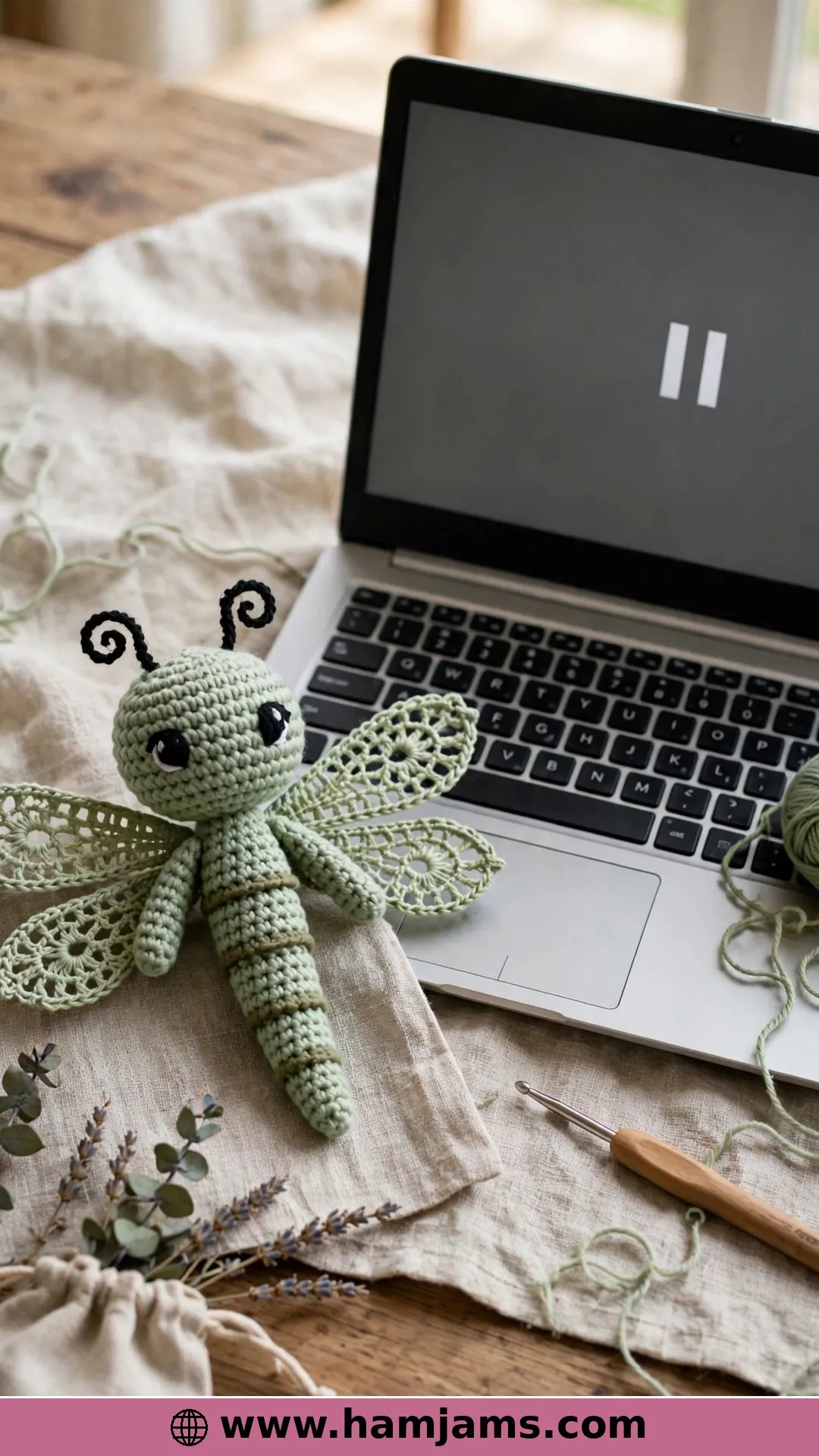 A Step-by-Step Video Dragonfly for Beginners