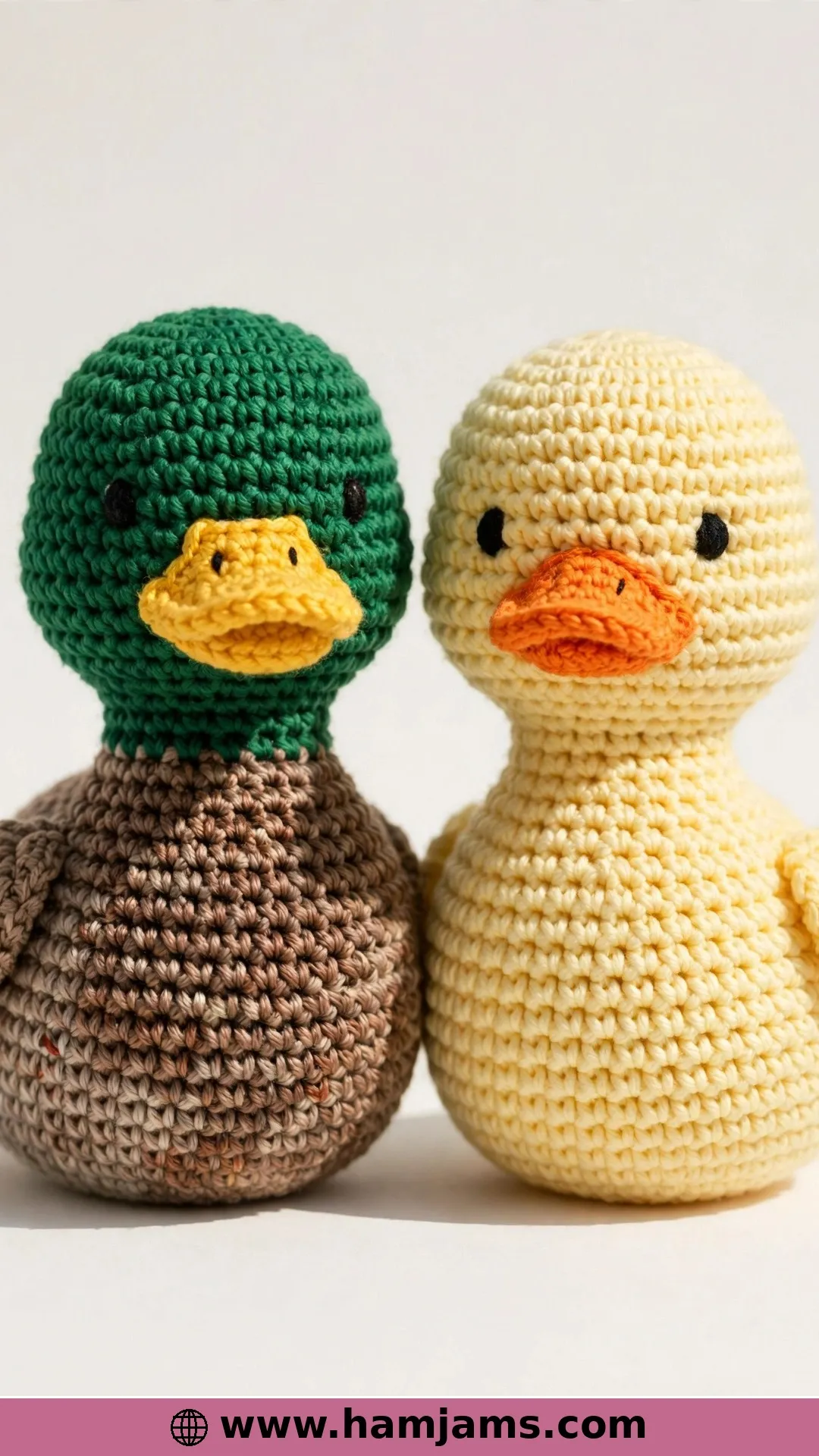 Daphne the Duck — Mallard and Pekin