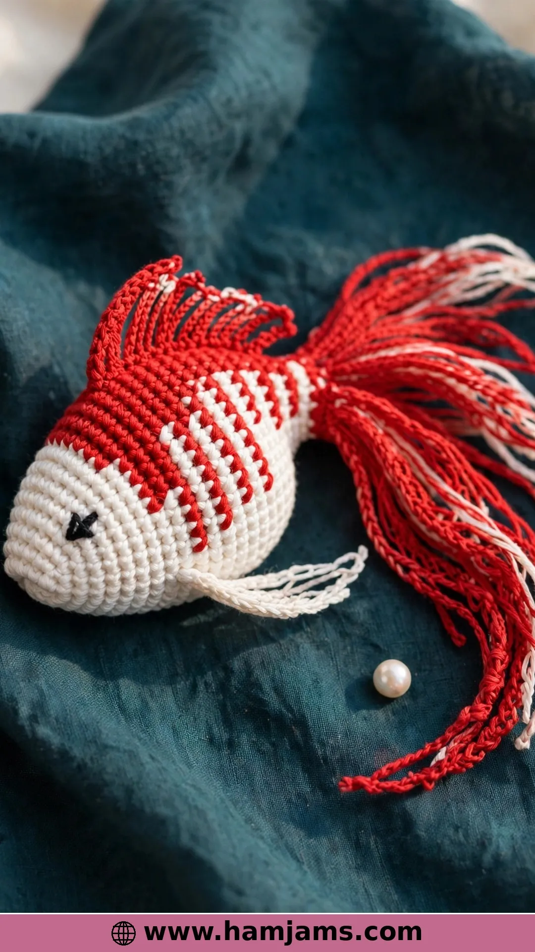 A Fancy Red and White Goldfish