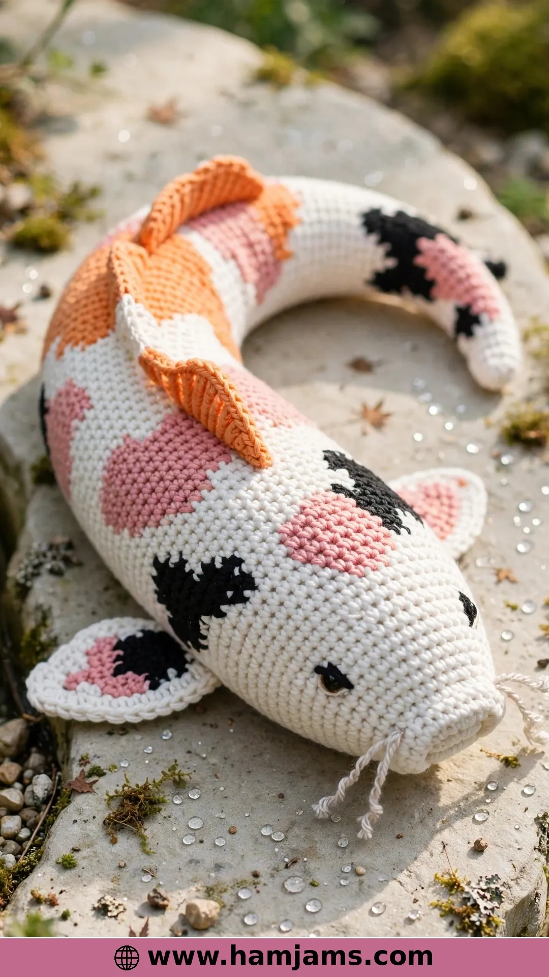 A Colourful Koi With Whiskers