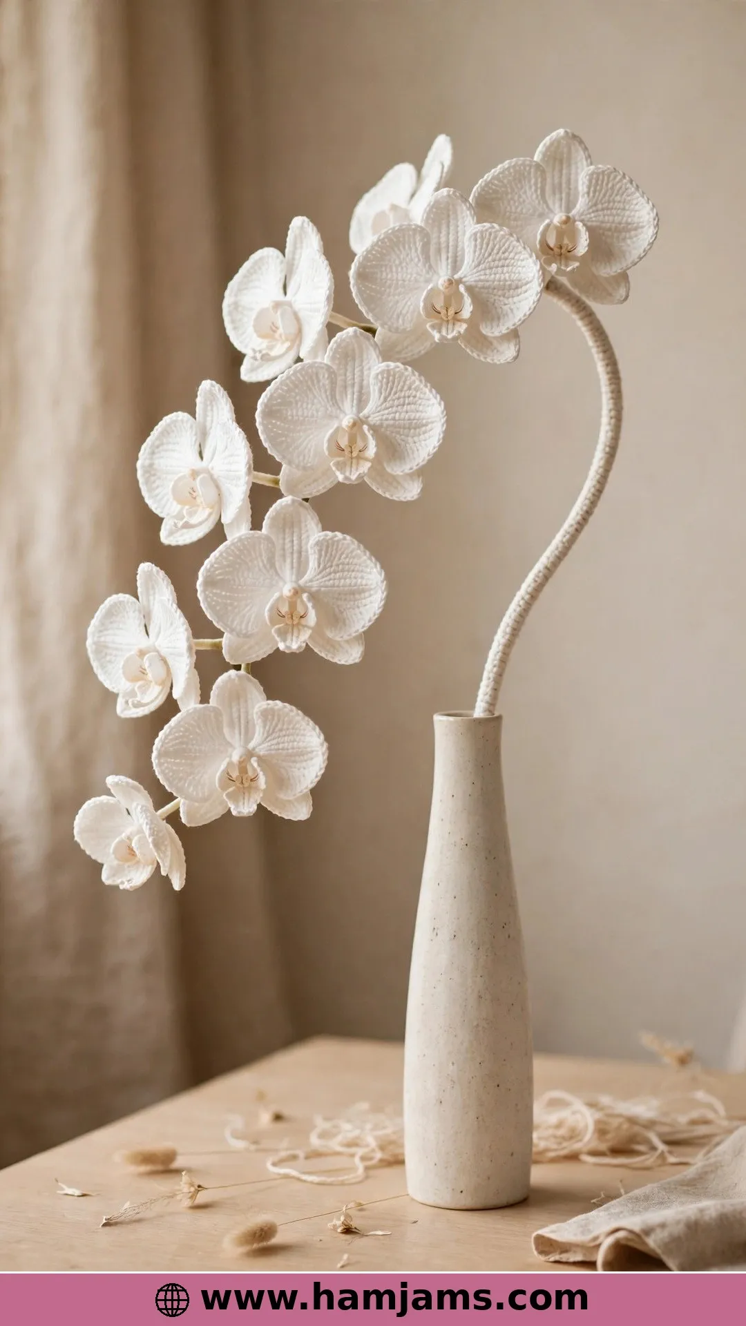A Moth Orchid Stem, Petal by Petal