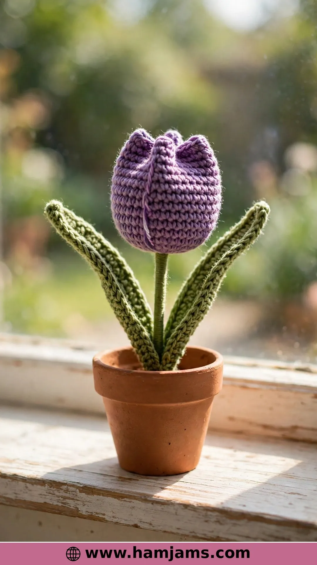 Tulip Cutie – A Potted Tulip That Never Wilts
