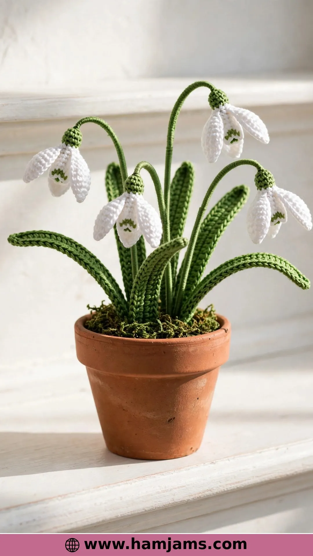 Nana's Snowdrops – The First Flowers of Spring, Potted