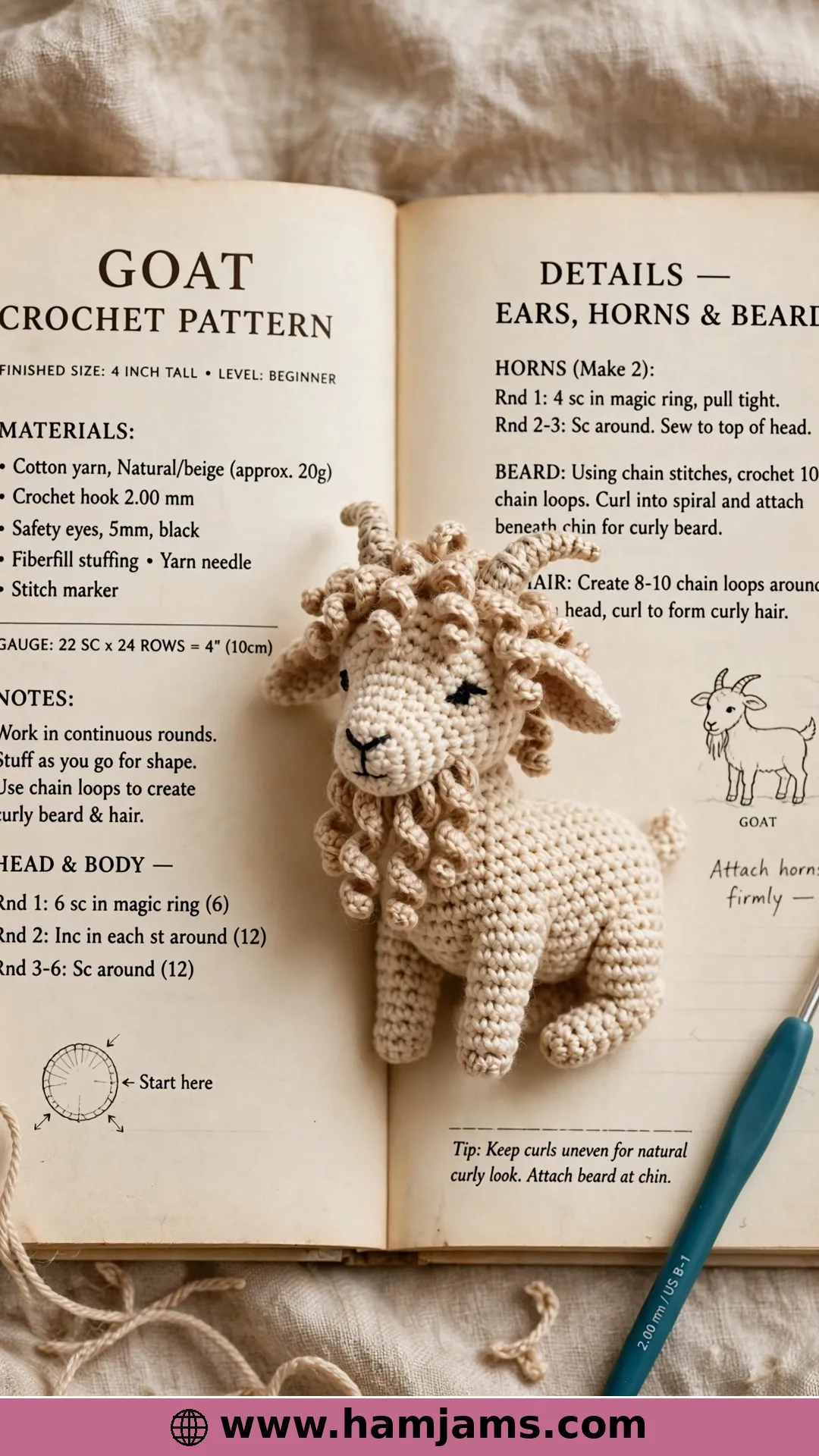 Little Goat with Curly Hair