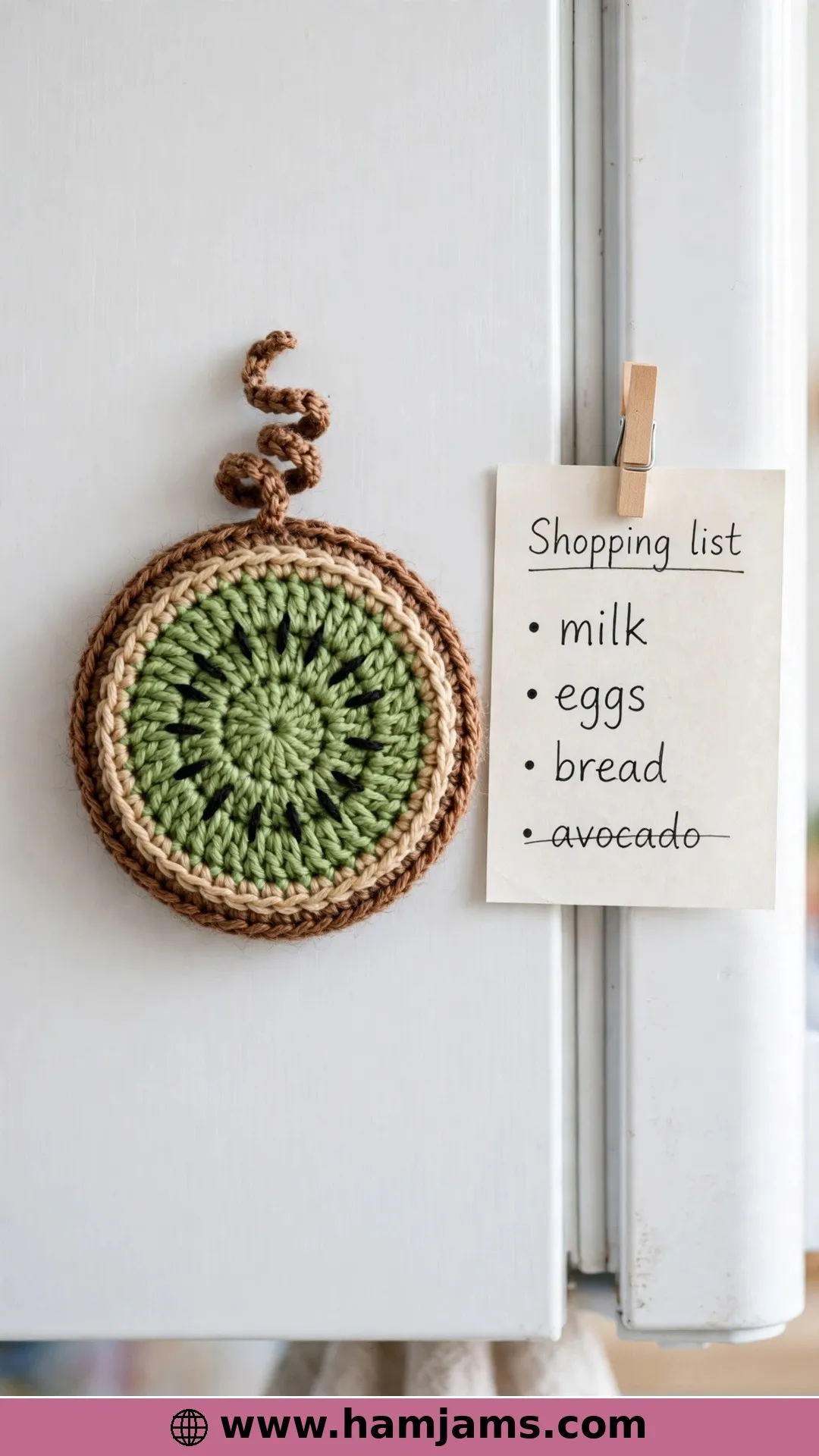 A Kiwi Slice for Your Fridge