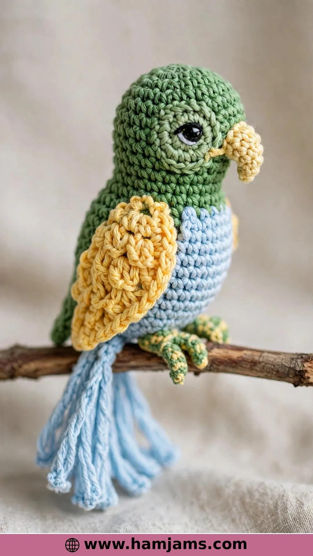 A Green, Yellow and Blue Parrot