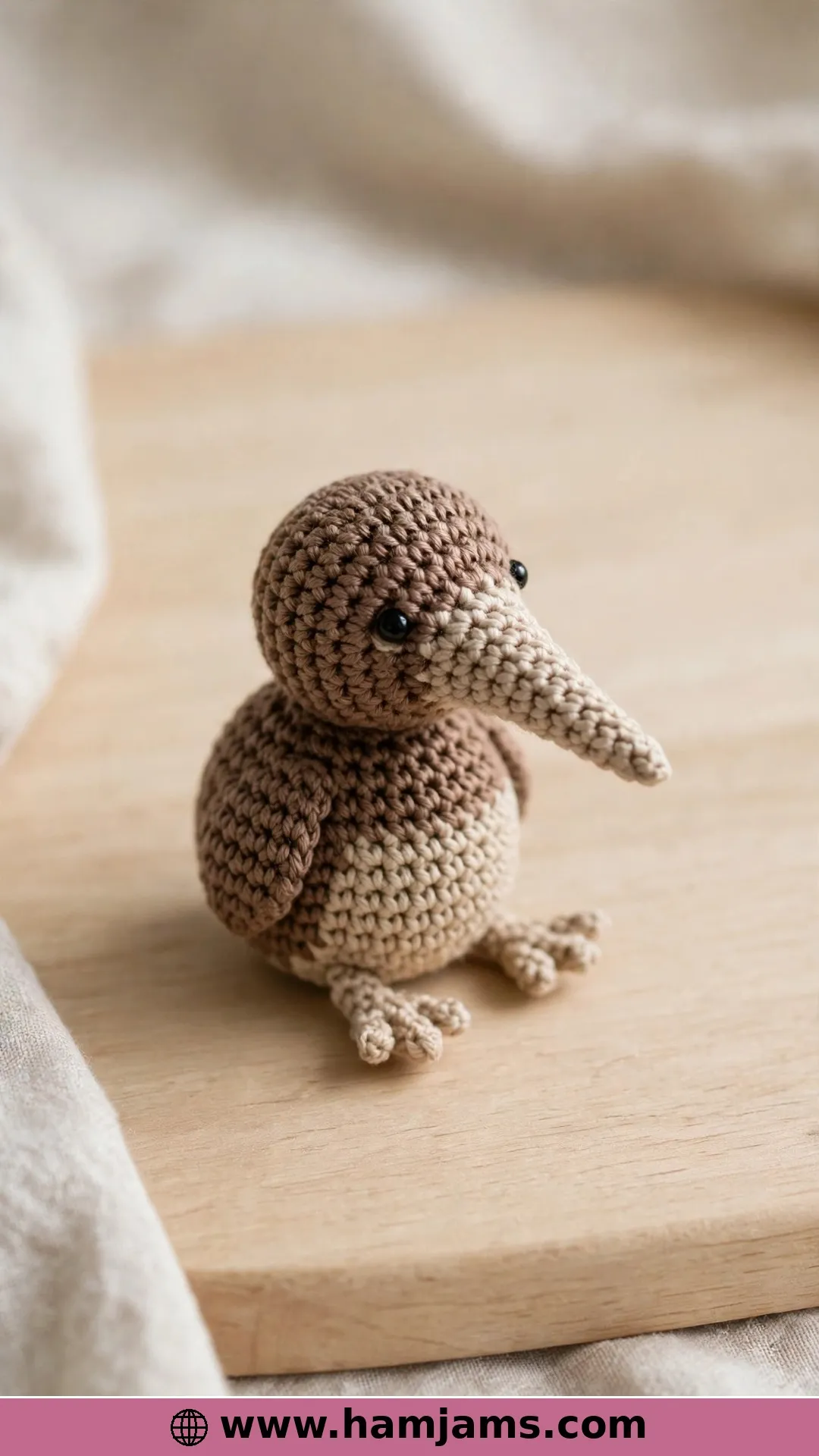 A Lil' Kiwi Bird, Not the Fruit