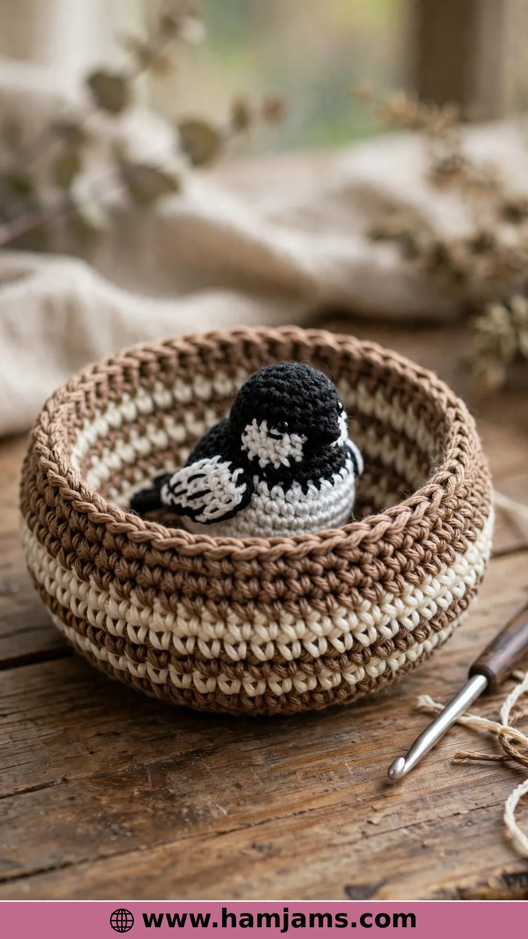 Medium Bird Nest
