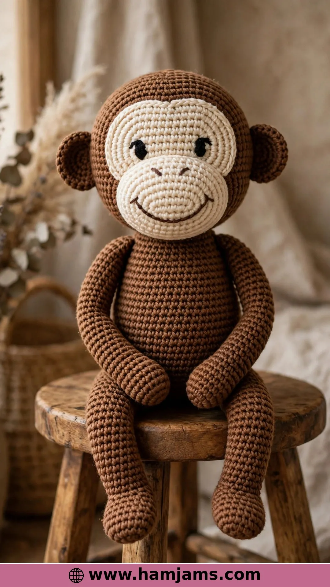 The Classic Brown Monkey With the Big Round Face