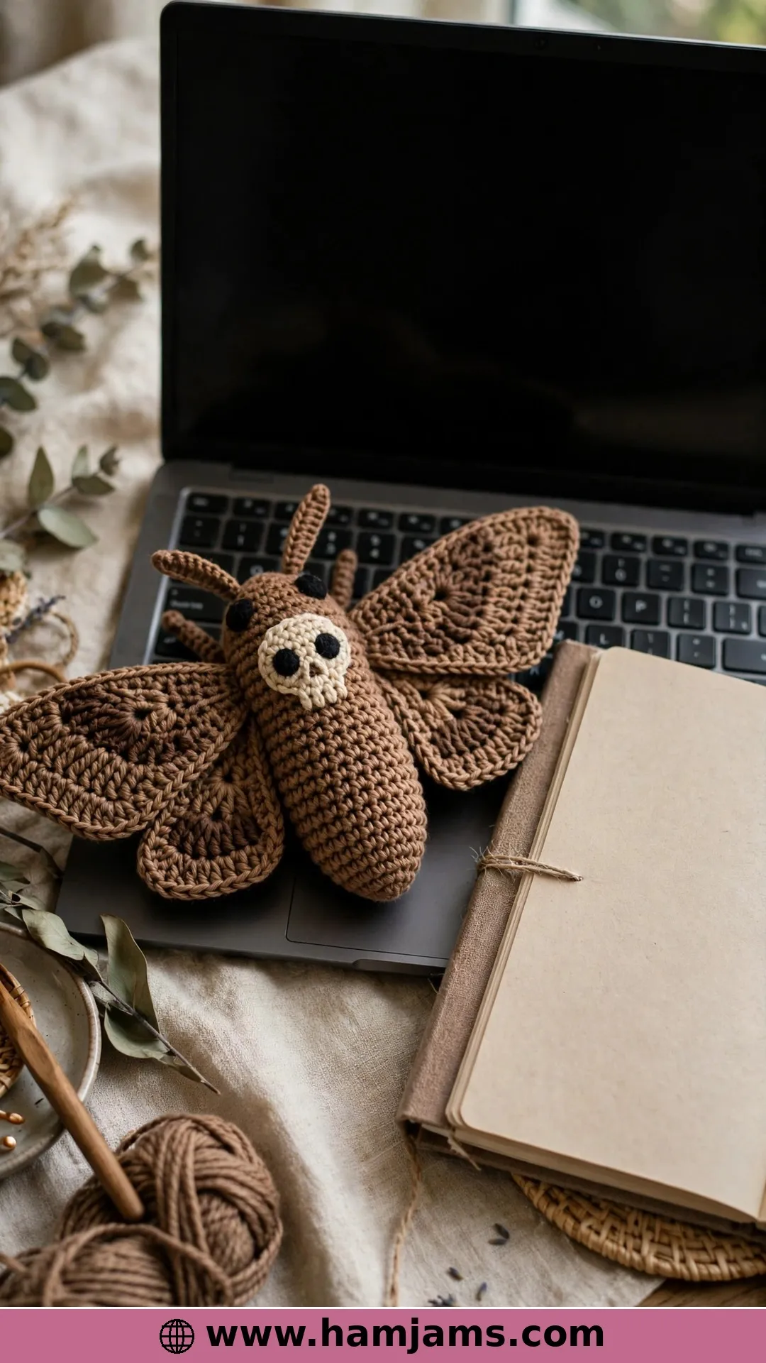 Death's-Head Hawkmoth Video Tutorial