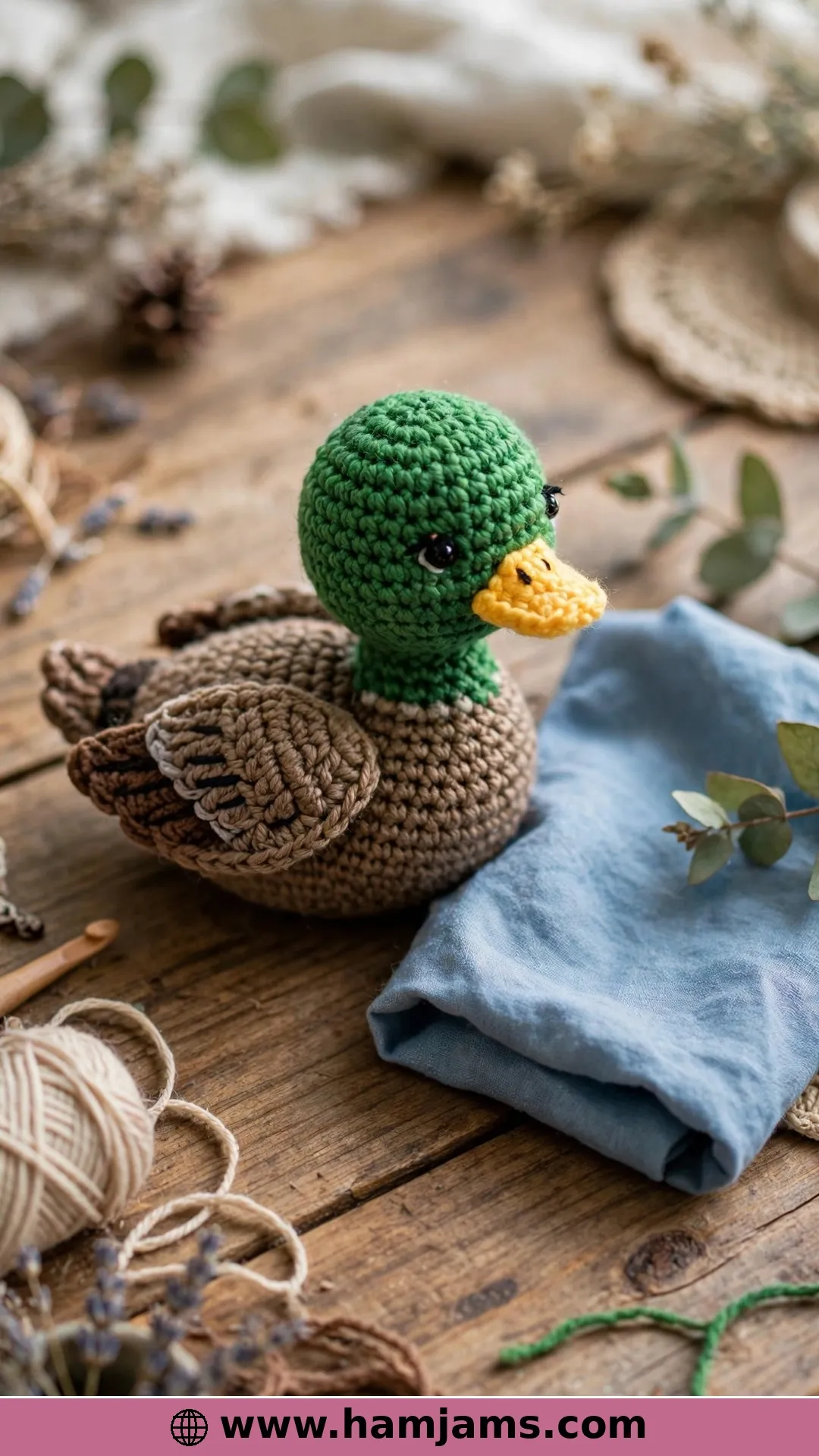 A Mallard From the Northern Lakes