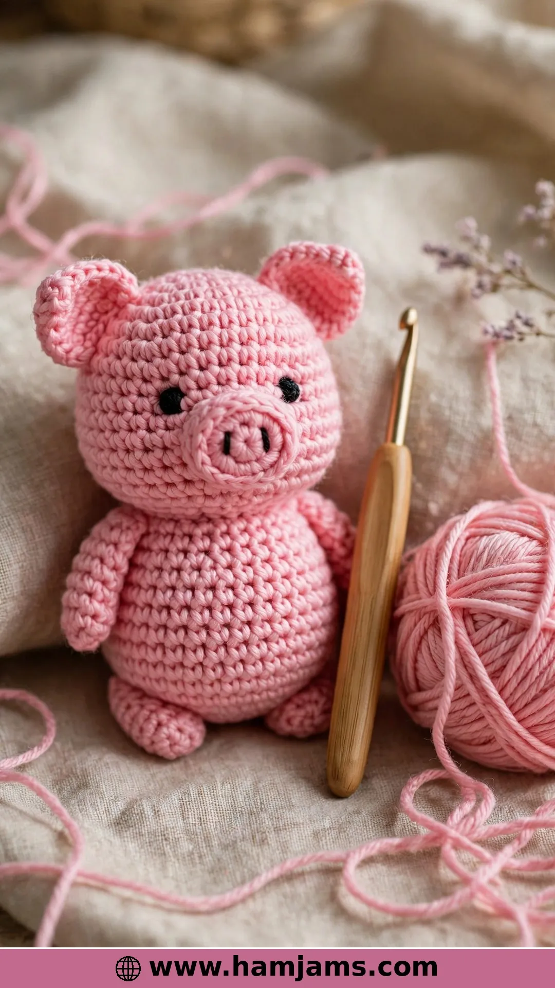 A Classic Little Piglet for Beginners