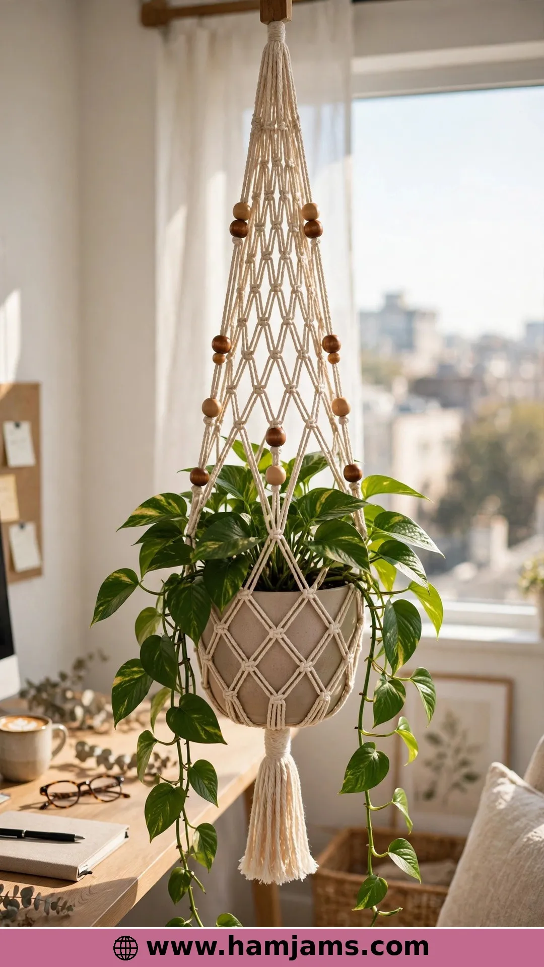The Big Bohemian for Statement Eight-Inch Pots