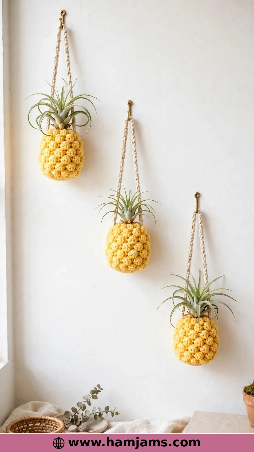 Lucky Pineapples for Air Plants