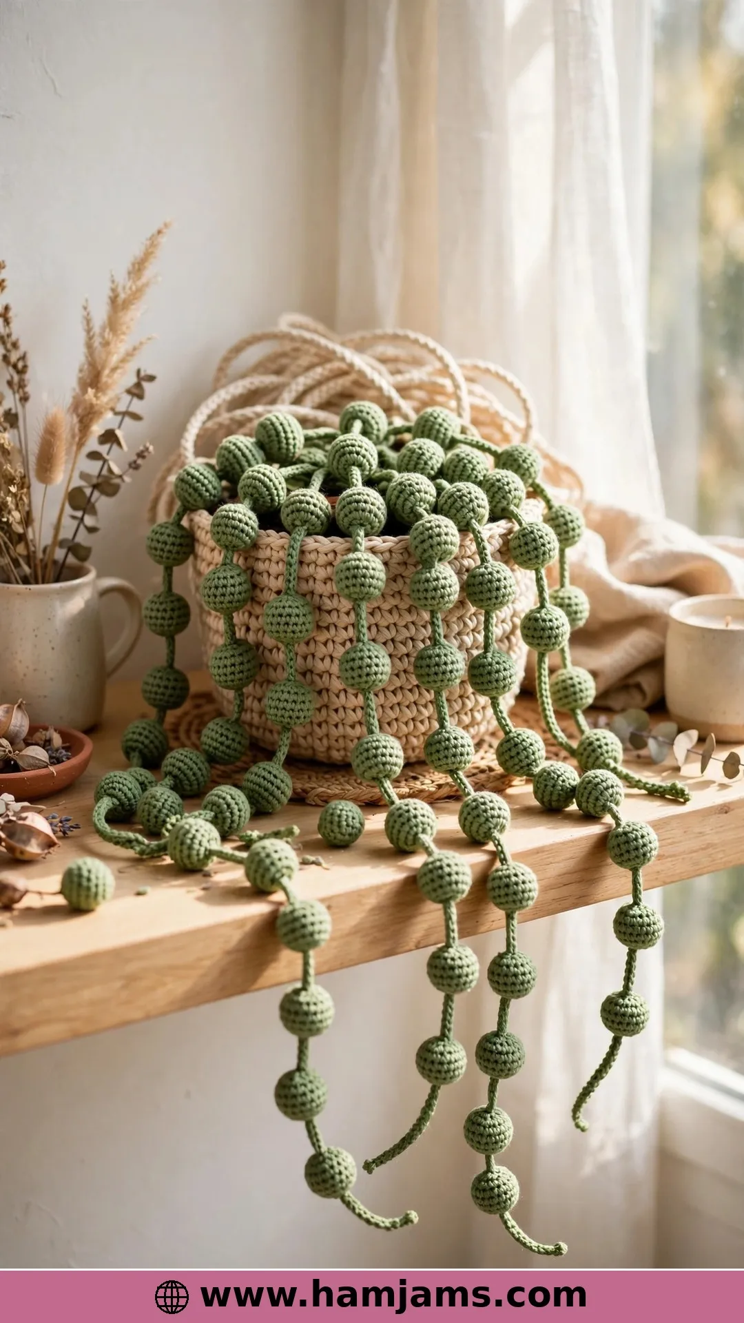 Trailing String of Pearls Plant