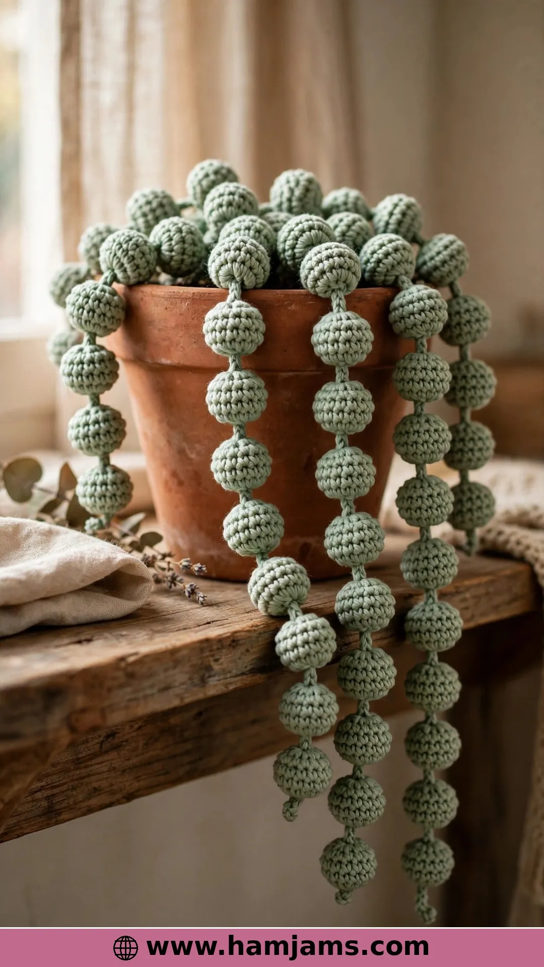 Potted String of Pearls with Popcorn Pearls