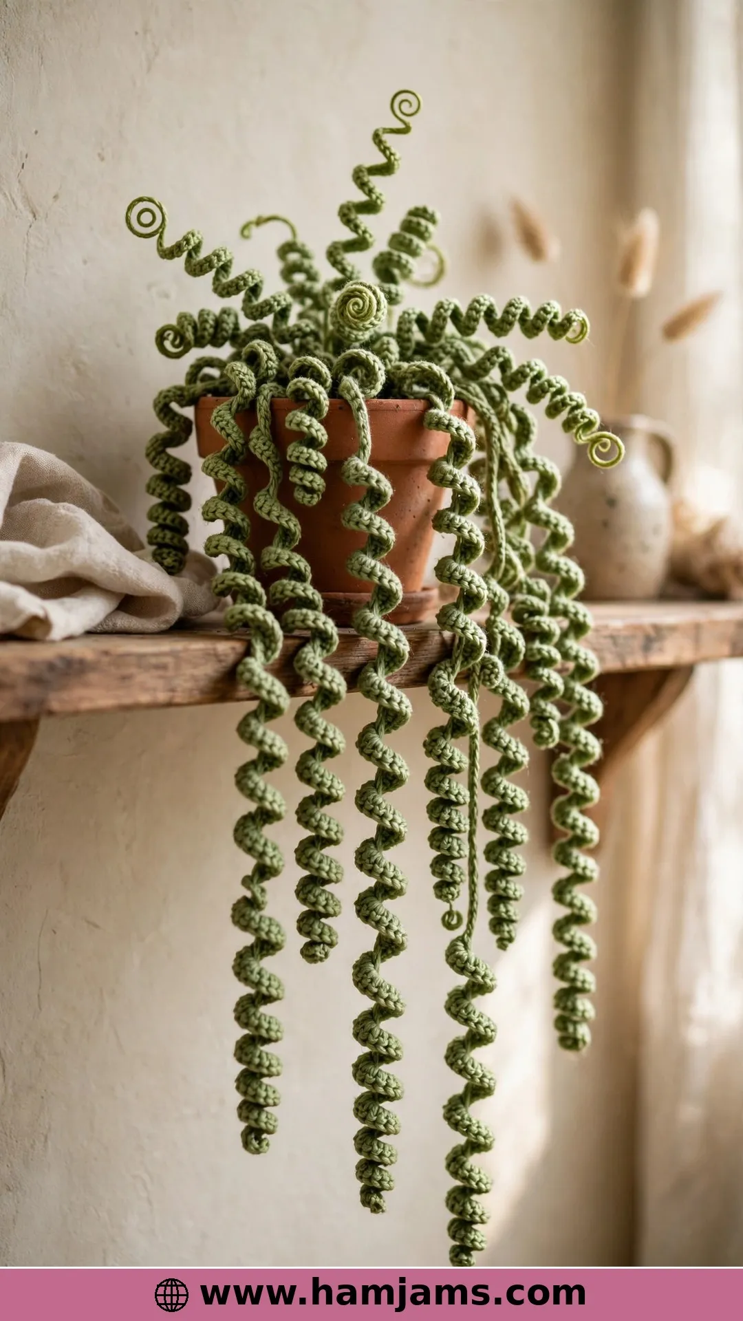 Dangling Curly Plant in a Clay Pot