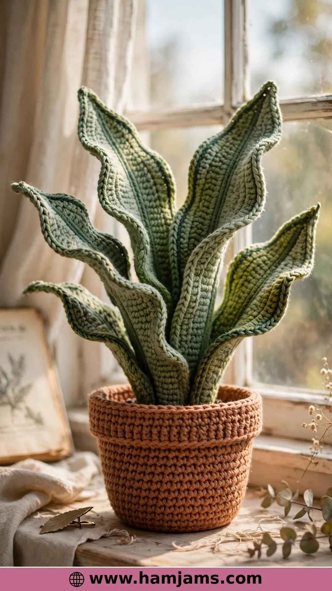 Snake Plant Cutie with Two Leaf Styles