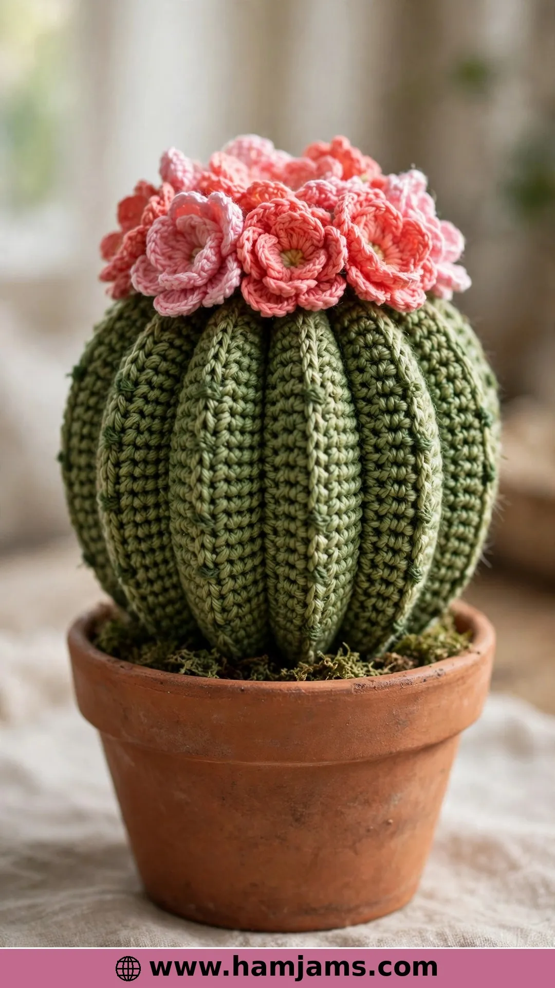 Barrel Cactus Cutie with a Flower Crown