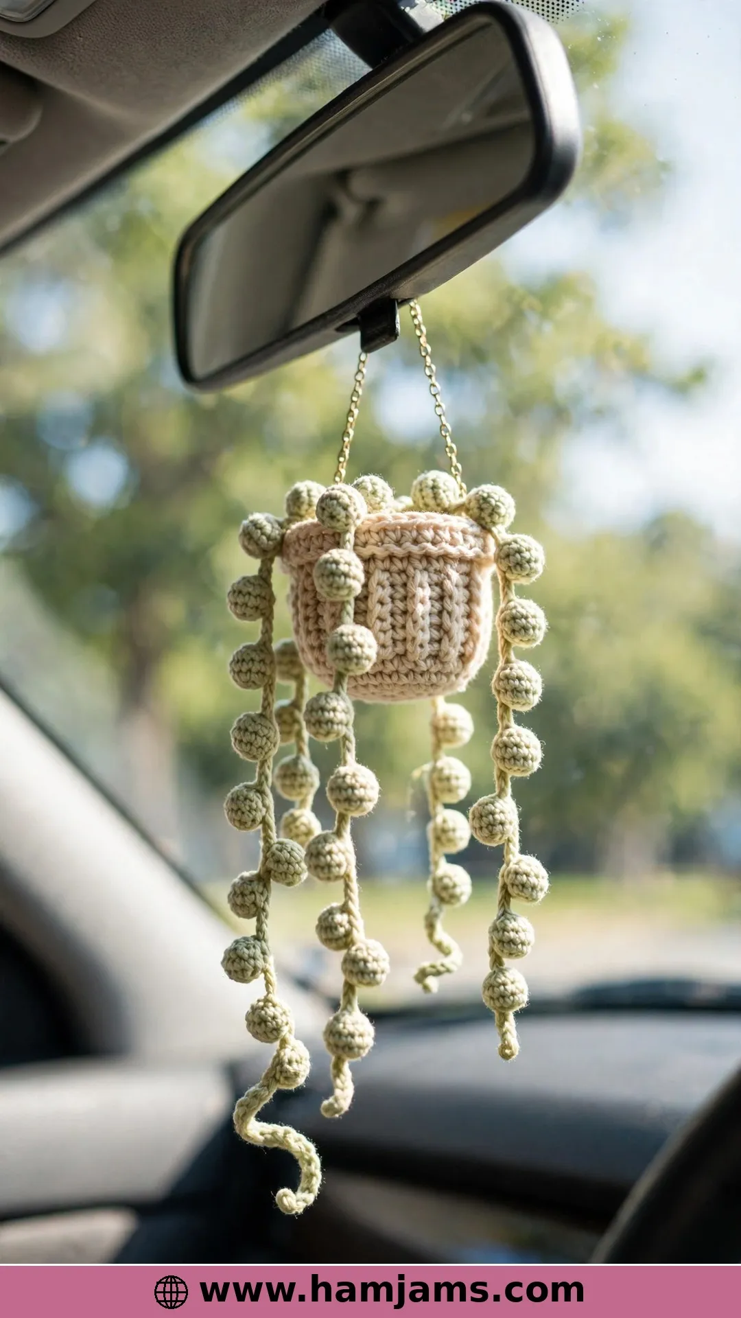 Mini Hanging Plant for Your Car Mirror
