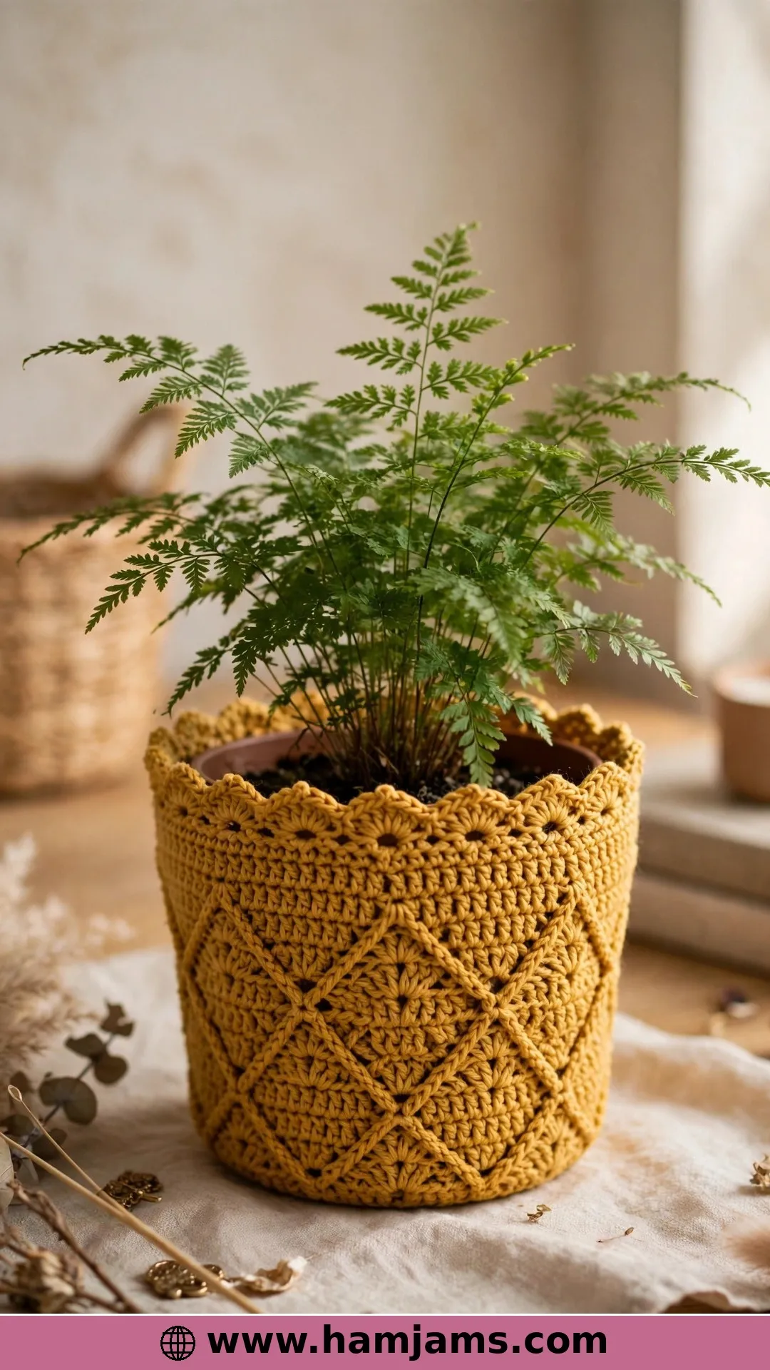 Cozy Alpine Diamonds for a Four-Inch Pot