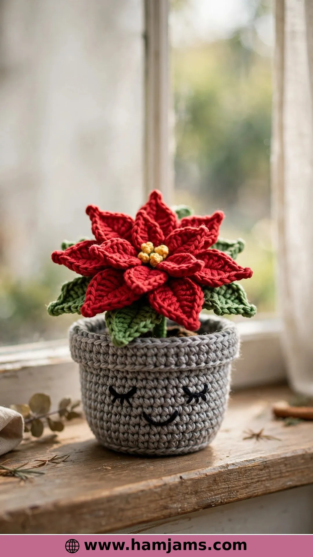 The Smiling Potted Poinsettia