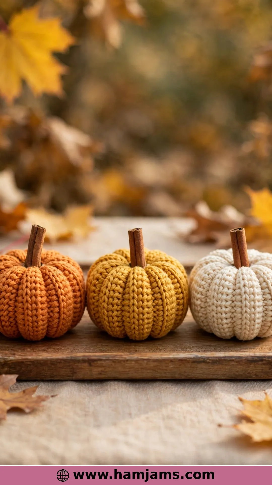 Beginner Pumpkin in Three Sizes