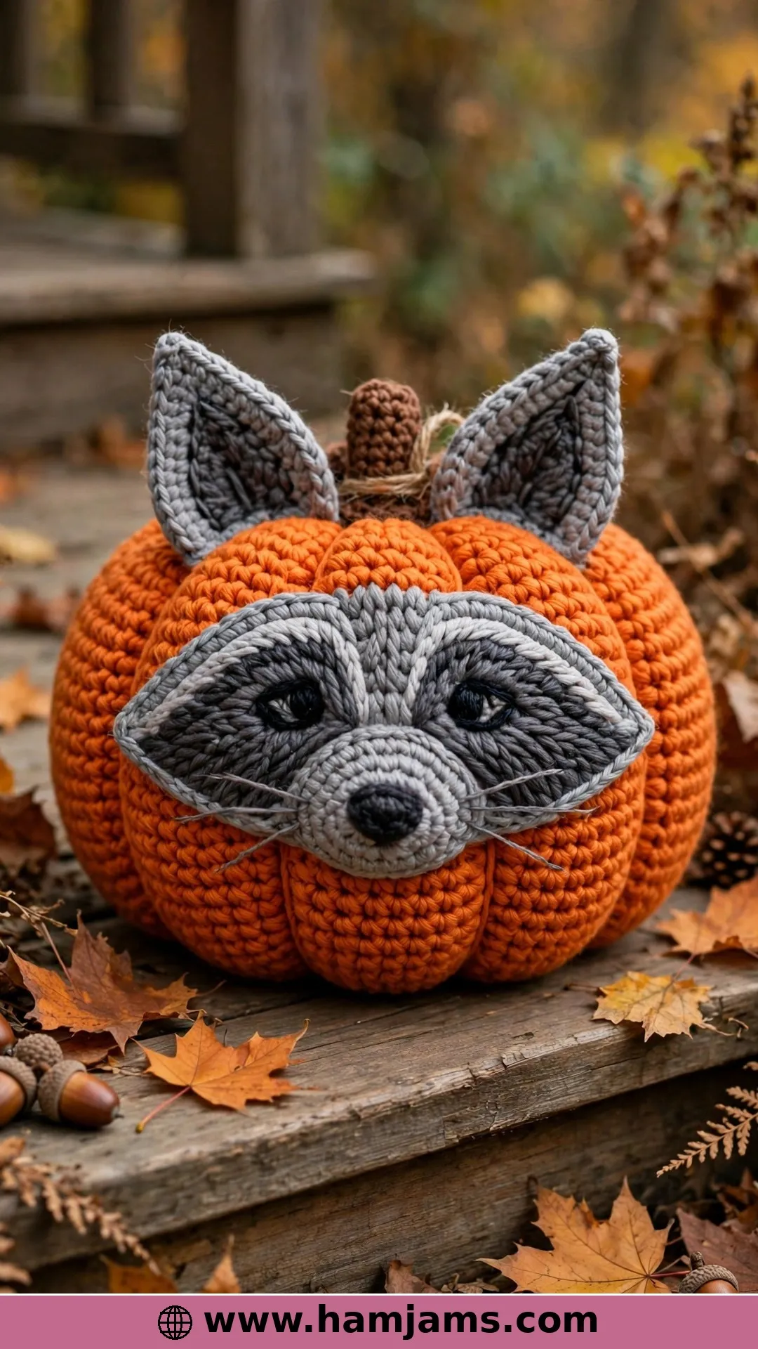 The Raccoon Pumpkin