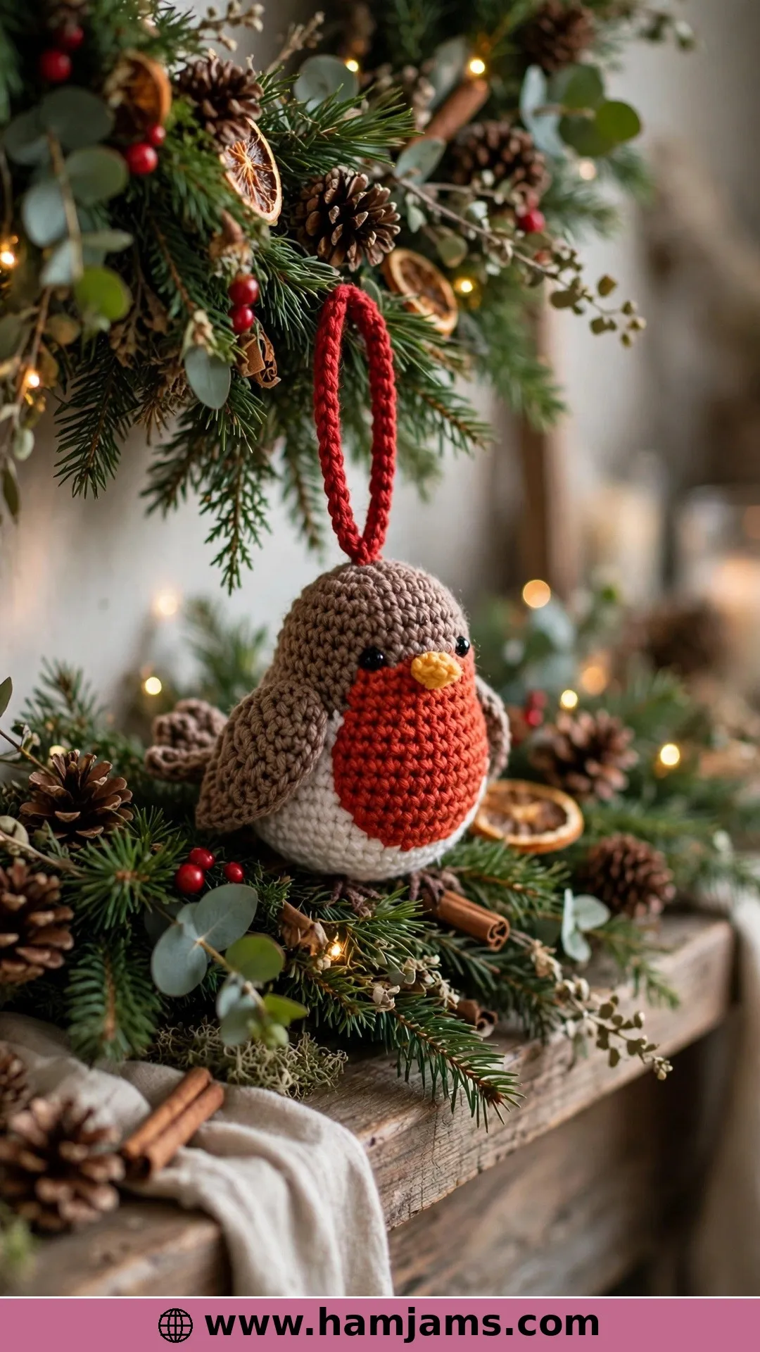 A Charity Robin With Felt or Crochet Features
