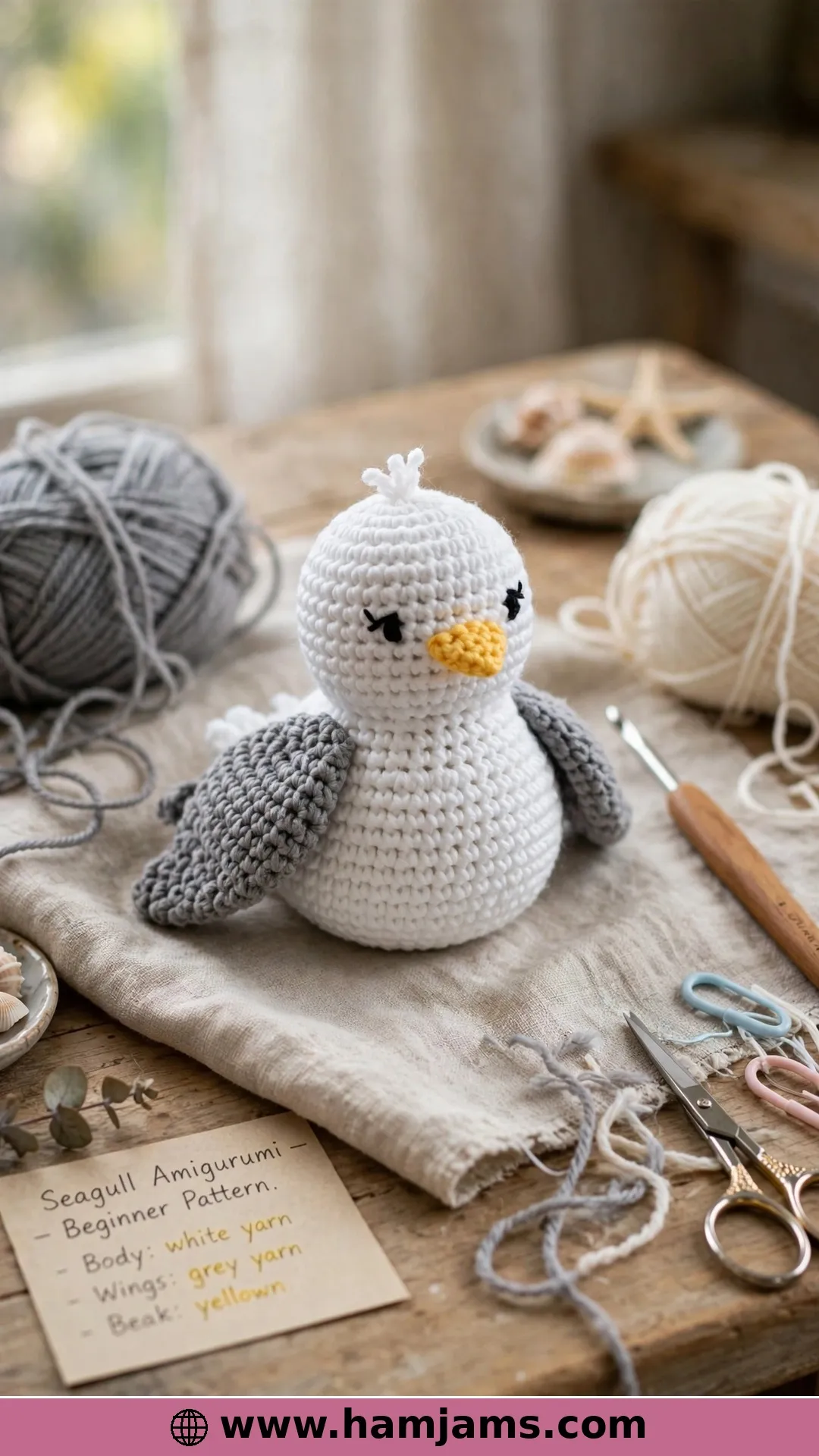 A Beginner Seagull With a Video to Guide You