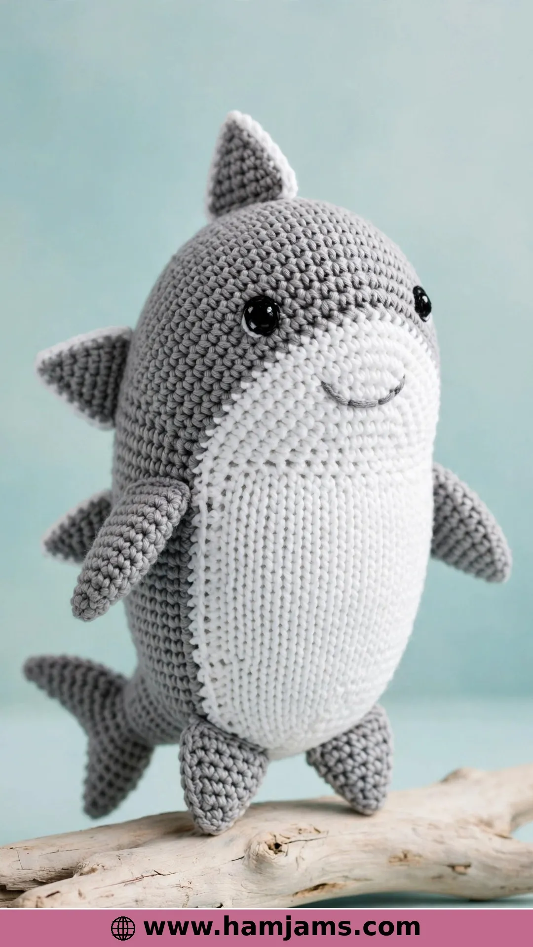 Sharky, the Beginner-Friendly First Shark