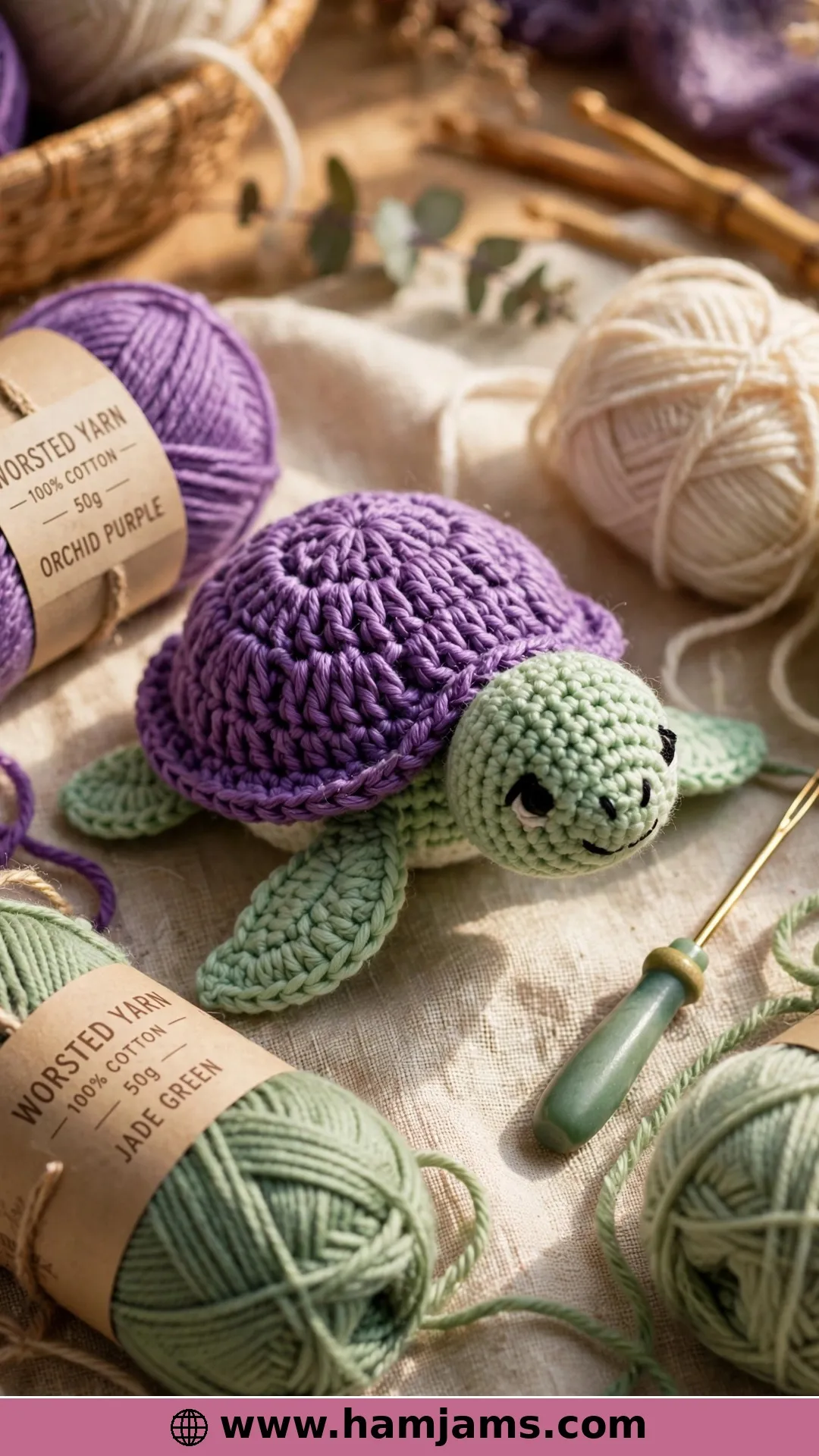 A Sweet Baby Turtle for Beginners