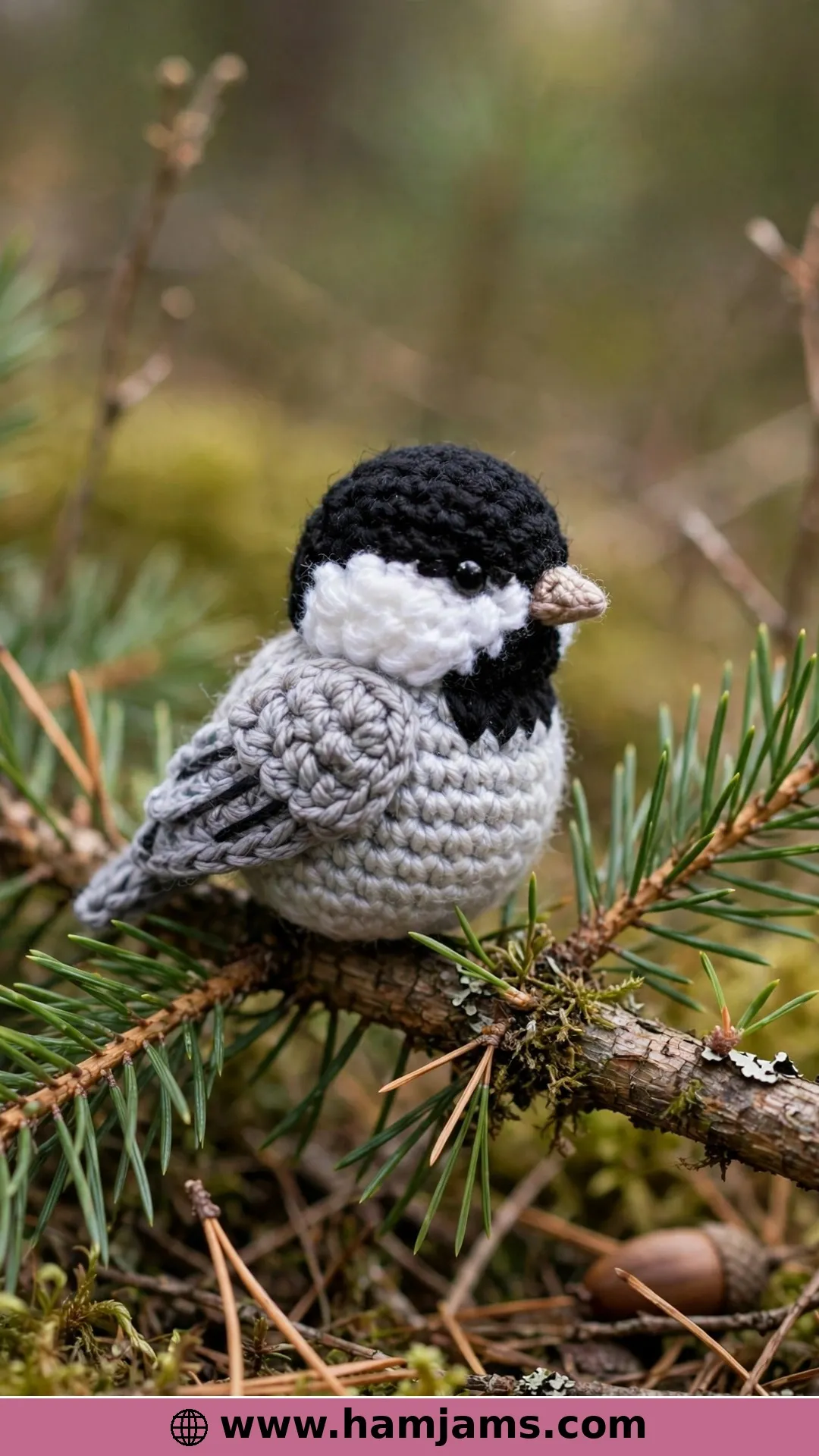 A Chickadee in Perfect Woodpecker Colours